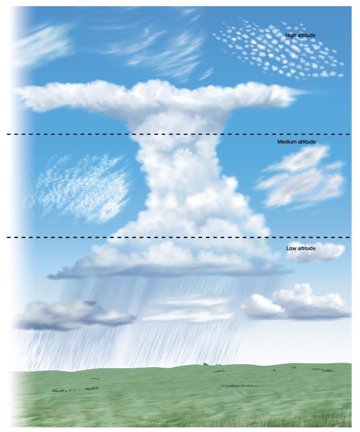 What are the types of clouds based on altitude?