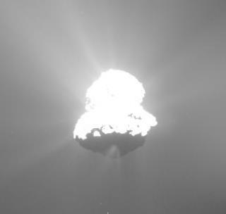 experiment such as Rosetta Different behaviour of different species hold information on ice conditions on the nucleus.