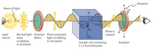 When plane-polarized light interacts with a chiral molecule, the plane of polarization of the light is rotated to the left or right.