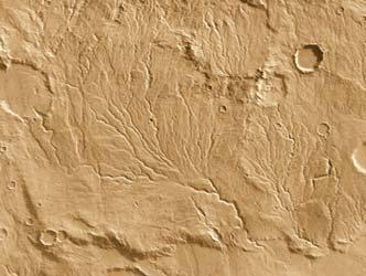 Water Features on Mars Evidence of water