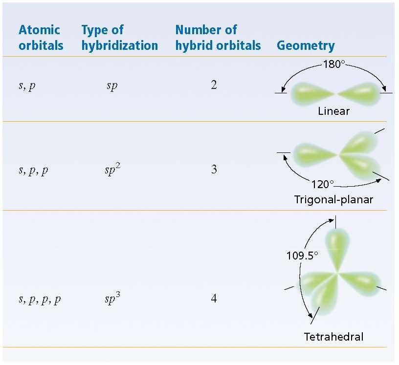 Section 5 Molecular