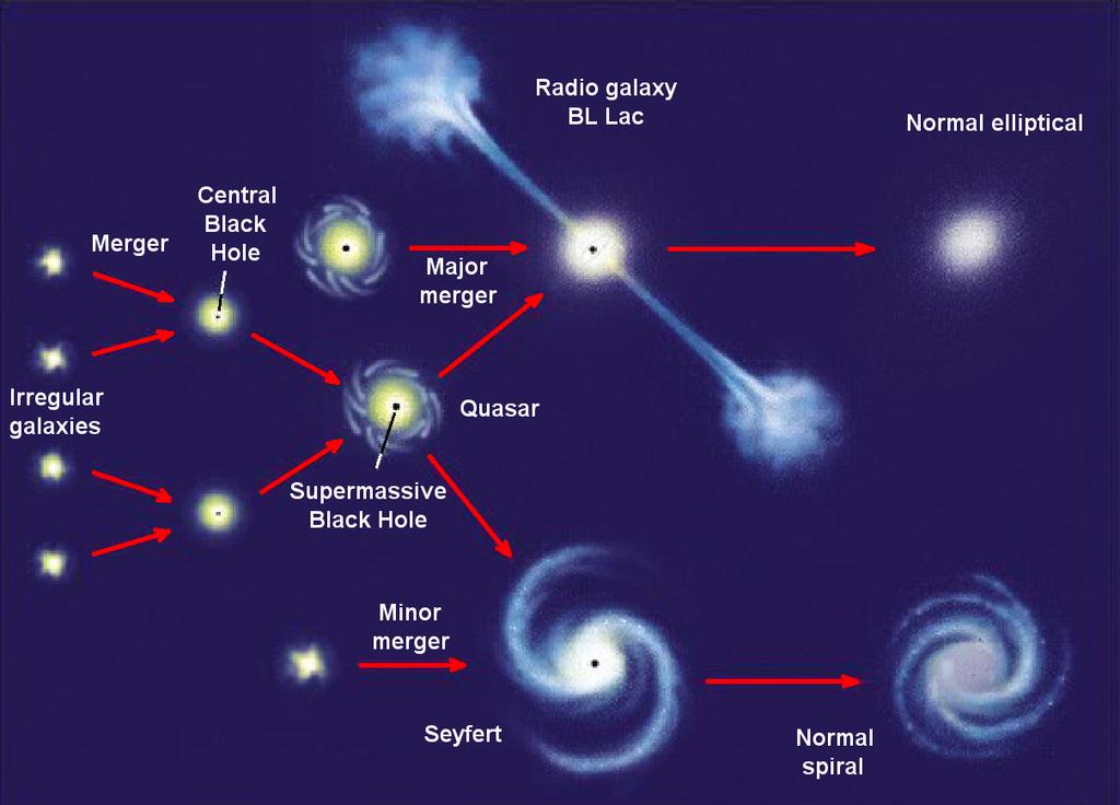The basic scenario: AGN - Host connection Host Galaxies &