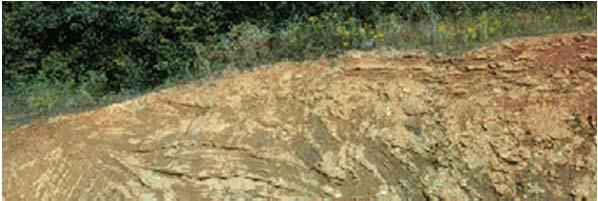 Soils are one place where we see weathering in action and they form an important substrate and growth medium for the terrestrial biosphere.