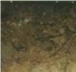 Saprolite with original rock textures preserved http://www.nicholas.duke.edu/eos/geo41/ How do soils form?