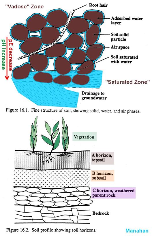 A Soil Horizons Primer: Soils are the combined products of rock breakdown and biological processes.