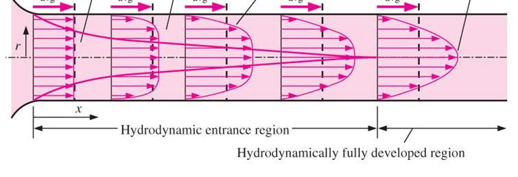 Velocity Boundary Layer velocity boundary layer hydrodynamically developed region hydrodynamic entry length L