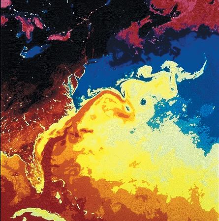 Figure 1 This thermal infrared image of the northwest Atlantic Ocean was taken from an NOAA satellite.