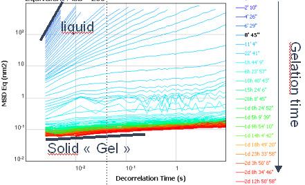 MSD curves and characteristic parameters like EI, SLB, MVI versus time to monitor the evolution of the viscoelasticity: gelation, recovery, stability as shown in the next application examples. V.