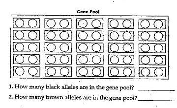 True or False: Dominant alleles always have the highest percent of relative frequency. 6. Describe evolution in genetic terms using relative frequencies : 7.