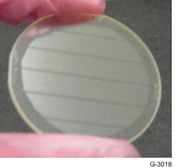 Scaling to 2 mm Thickness: Macroscopic, Microscopic Views 50 mm diameter,