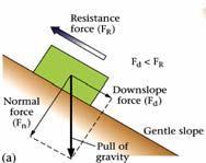 Understanding the cause of movements Slope Stability Downslope forces =