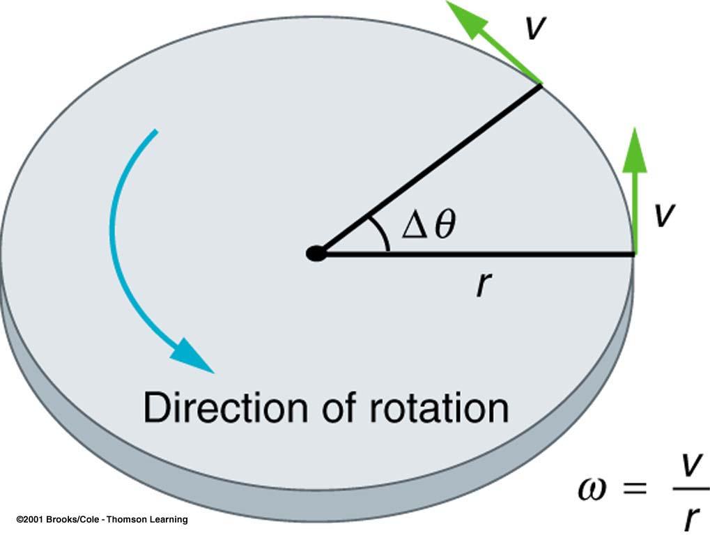 Angular & Tangential Velocity ω: angular velocity (rad/s) v: tangential