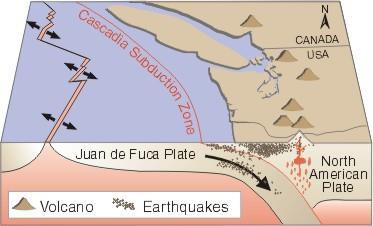 Volcanoes at Convergent Boundaries (Subduction) Subduction increases the amount of water in