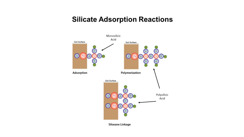 1. Illustration of the formation of silicon-rich surfaces through polymerization and siloxane linkages.