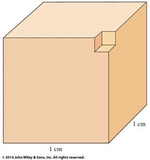 Surface Area of Two Crystals Surface area = 6(side) 2 = 6(1cm) 2 = 6