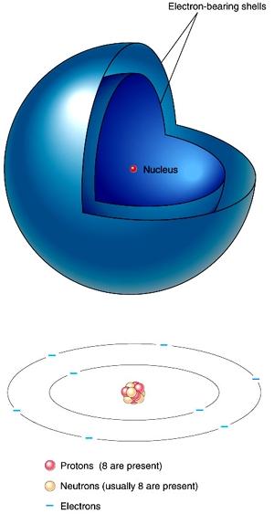 Atomic Structure Protons and neutrons form the nucleus of an atom Represents tiny fraction of the volume at the center of an atom, but nearly all of the mass Electrons orbit the nucleus in discrete