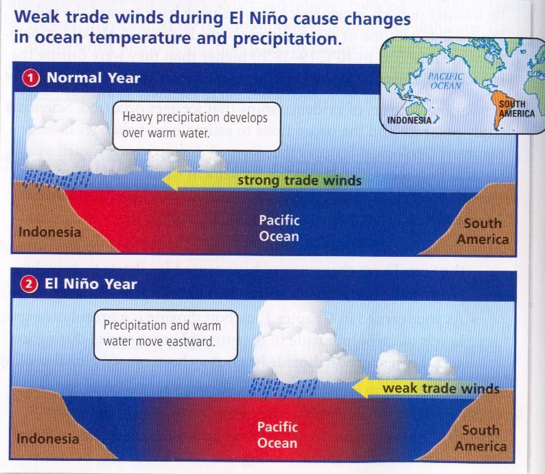 El Nino (impact on global climate for 1-2 yrs) Dry conditions in the western Pacific (Australia &
