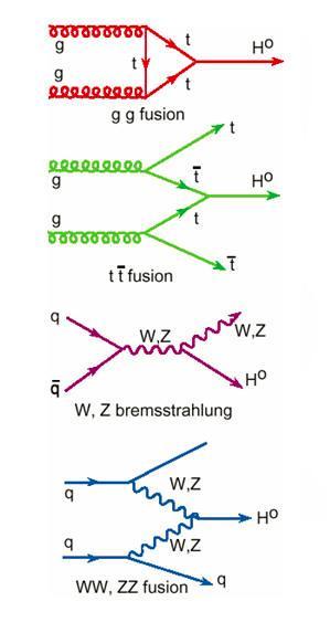 Higgs Boson Production at LHC Yukawa coupling Gluon-gluon