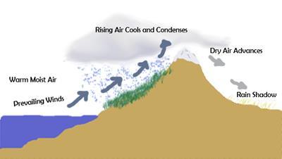 Topography As air rises up the windward side of a mountain, it cools and becomes saturated.