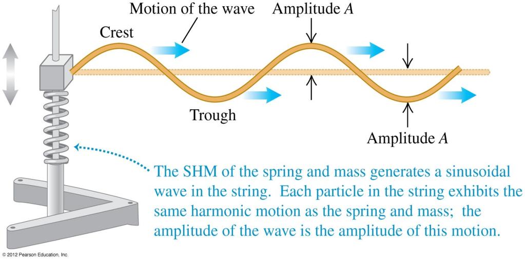 Sinusoidal Wave on a String, final The maximum magnitudes of the transverse speed and transverse acceleration are v y,