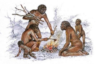 H. erectus mastered new subsistence skills First (so far known) to leave Africa More complicated stone tool kit -