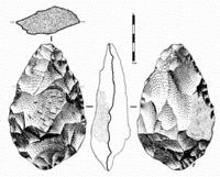 H. heidelbergensis began making new kinds of tools