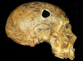 Neanderthal life was hard and short 40-45 years maximum lifespan