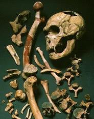 Some Neanderthals survived serious injuries and