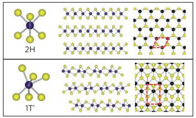 Semi-metallic monoclinic (1T ) Two phases can be reversibly transformed by altering