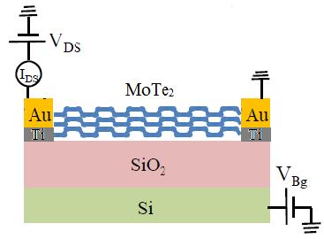 Gas Sensing Device (FET) structure The gas sensor works by bridging the two electrodes (source and drain) with sensing materials and passing current through them.