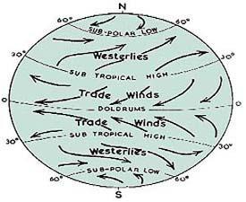 Prevailing Winds Trade Winds- Blow from the Northeast in the Northern