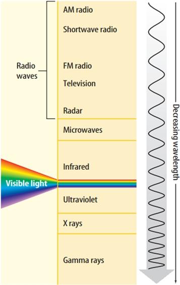Radio Waves AM Radio Shortwave radio FM Radio Television Radar