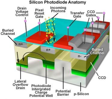 Photodiodes and other