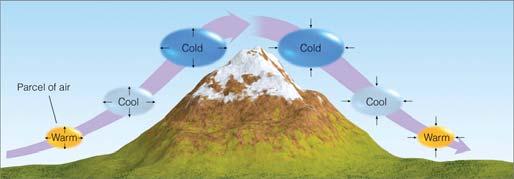 Rising air expands and cools; sinking air is compressed and warms. Why?