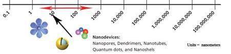 How small is Nano - small?