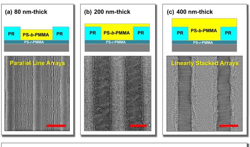 One-Dimensional Lamellar Assembly for Metal