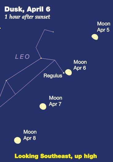 April 2017 Sky Events Regulus and the Gibbous Moon The evenings of Thursday, April 6 th, and Friday, April 7 th, will provide a fine opportunity to let the waxing gibbous moon guide you to the bright