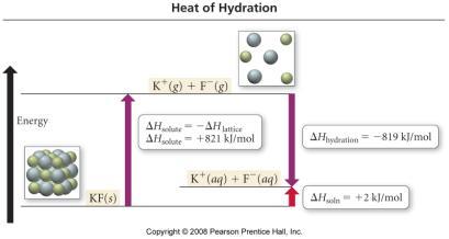 molecules and ions is combined into a term called the heat of hydration attractive forces in water = H-bonds attractive forces