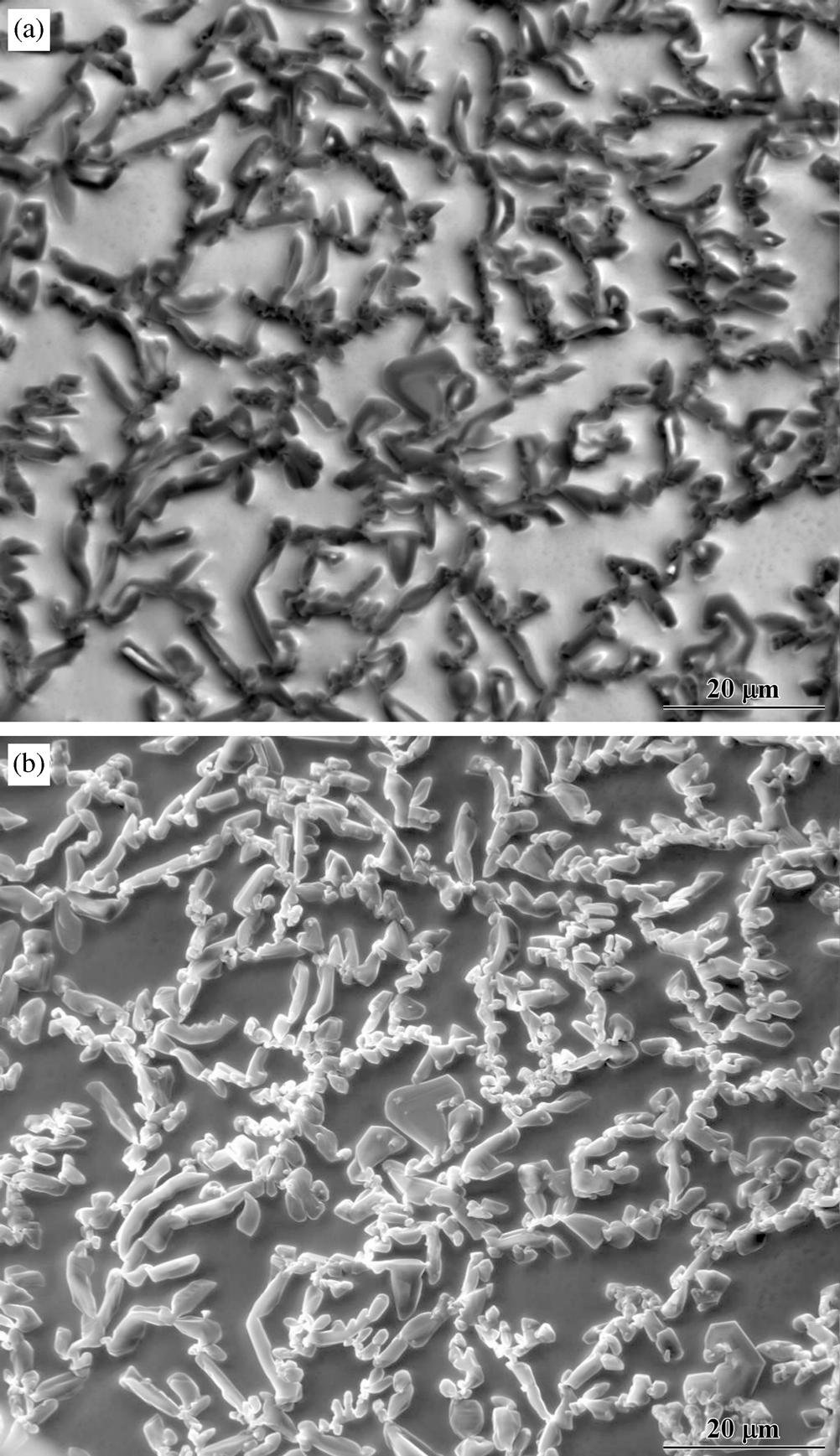 32 j 1 Introduction to Scanning Electron Microscopy Figure 1.20 (a) Back-scattered electron and (b) secondary electron SEM images of small Al2O3 particles on the surface of a nickel substrate.