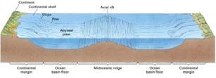 Relief Features of the Ocean Basins Mid ocean ridge and ocean basin floor mid ocean ridge