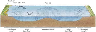 Plate Boundaries Divergence (Seafloor Spreading) Convergence (Collision) Lateral (Transform) Plate Divergence New crust is created and forced outwards from a RIFT Upwelling magma creates