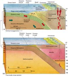 Plate Convergence Ocean - land convergence = subduction zone