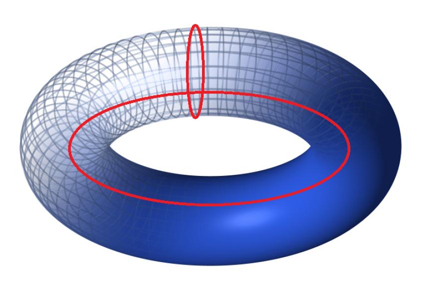 Topological properties The same topological order as Z2 spin liquid e Four-fold