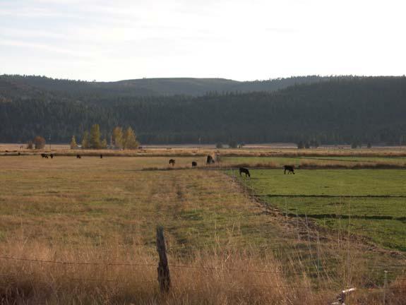 2.5.3 Willow Creek Valley Identified as a priority groundwater basin based on stakeholder input, land use, water source patterns, and existing groundwater well infrastructure, Willow Creek Valley is