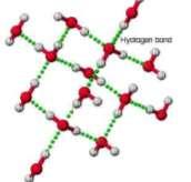 hydrogen bonds an attraction between hydrogen and an unshared pair of an electronegative element on a neighboring molecule G)