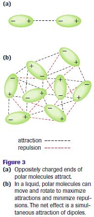 Dipole-Dipole Forces Molecules can be classified as polar or non-polar The dipole-dipole force is an attractive intermolecular force resulting from the tendency of polar molecules to align themselves