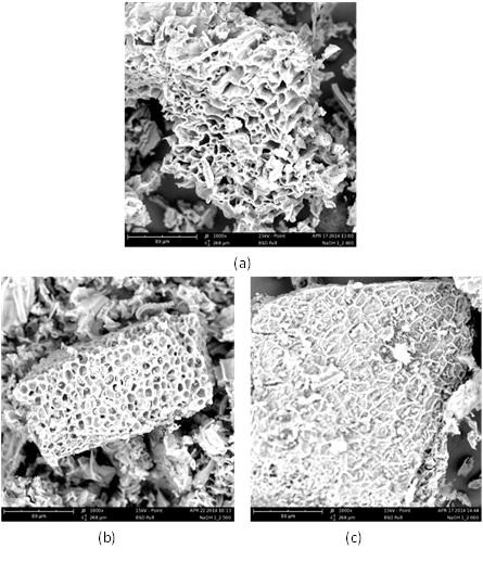 Figure 5. Effect of temperature on particle porosity at different IR value Figure 6. SEM micrographs of DCR-, (a) A2:400, (b) A2:500, (c) A2:600 3.