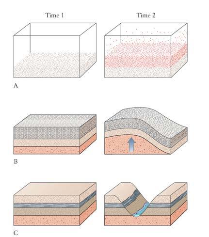 Nicolaus Steno s three principles pertaining to sedimentary rocks: A.