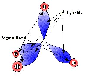 4. 5. Sigma bonds (σ bond) a. Bond in which the electron pair is shared in an area centered on a line running between the atoms b. Lobes of bonding orbital point toward each other c.