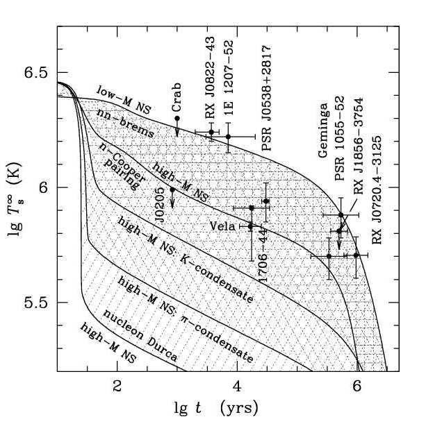1 Introduction Figure 1.4: Theoretical cooling curves for different neutron star core compositions.